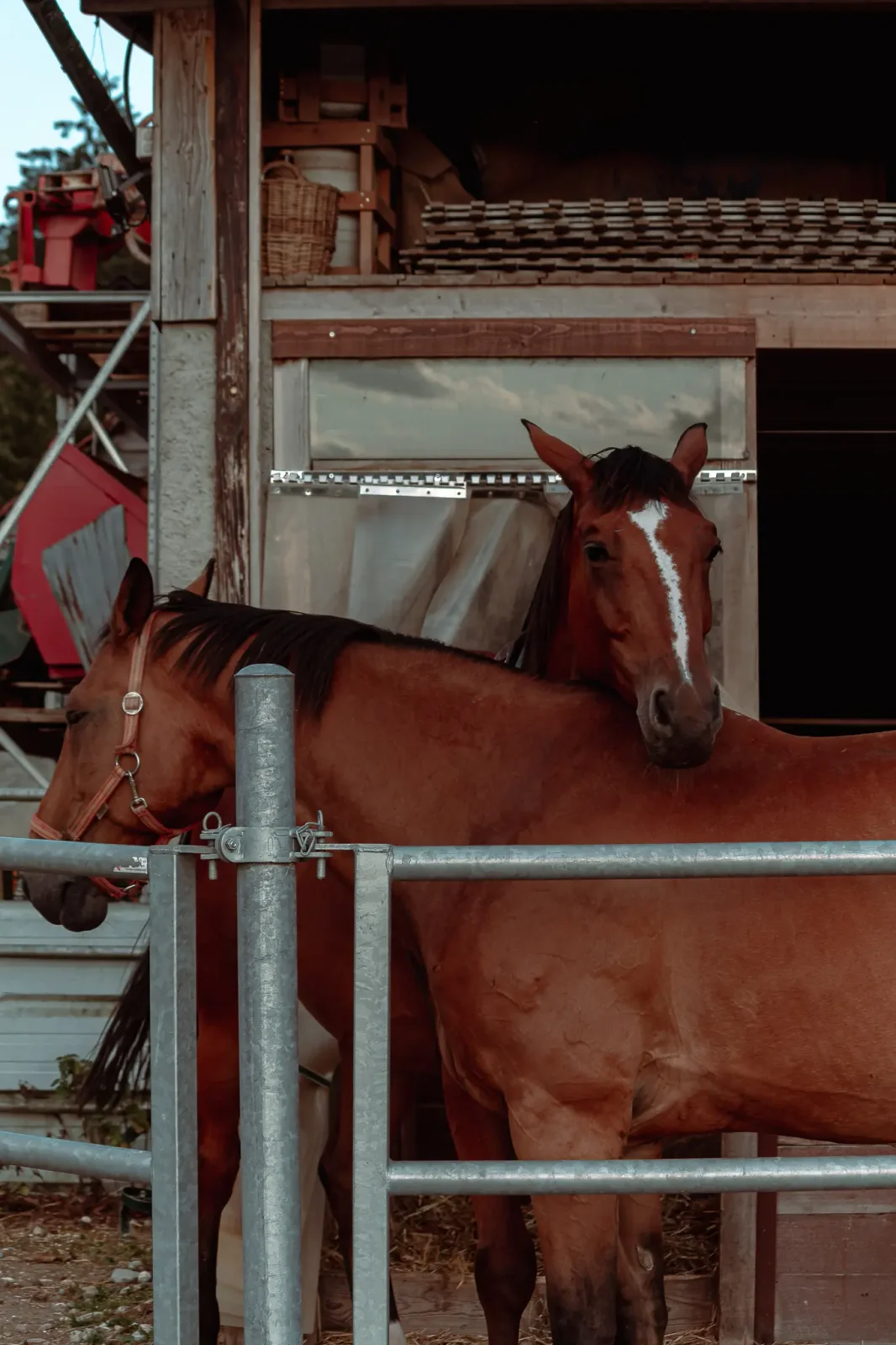 nature photography by JRMGraphy